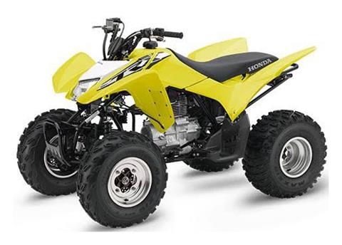 2018 Honda TRX250X in Spencerport, New York
