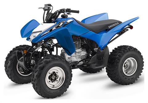 2019 Honda TRX250X in Spencerport, New York