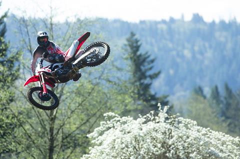 2019 Honda CRF250R in Spencerport, New York