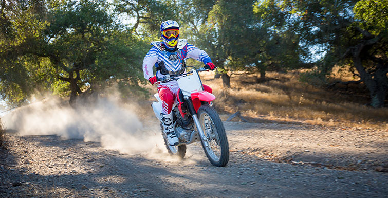 2019 Honda CRF230F in Spencerport, New York
