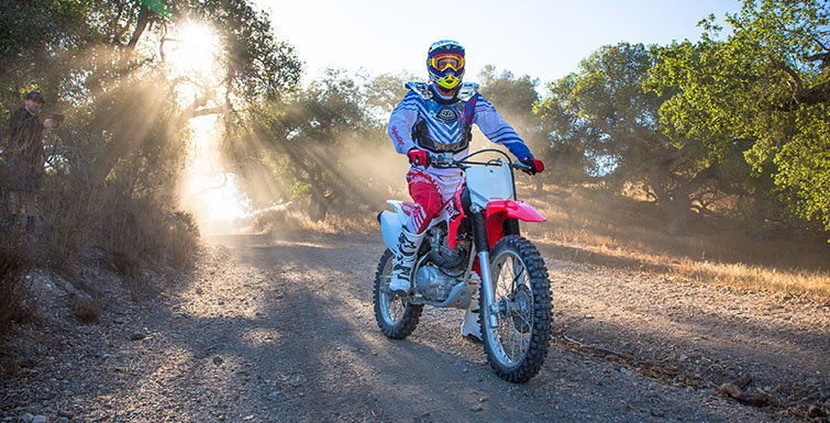 2019 Honda CRF230F in Spencerport, New York