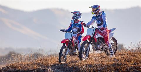 2019 Honda CRF230F in Spencerport, New York