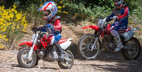 2019 Honda CRF50F in Spencerport, New York