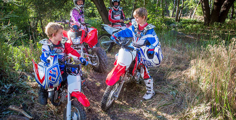 2019 Honda CRF50F in Spencerport, New York