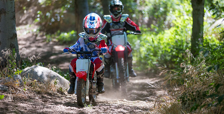 2019 Honda CRF50F in Spencerport, New York