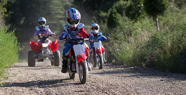 2019 Honda CRF50F in Spencerport, New York