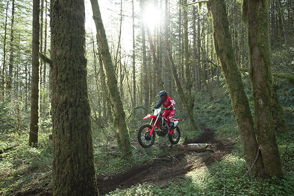 2019 Honda CRF450RX in Spencerport, New York