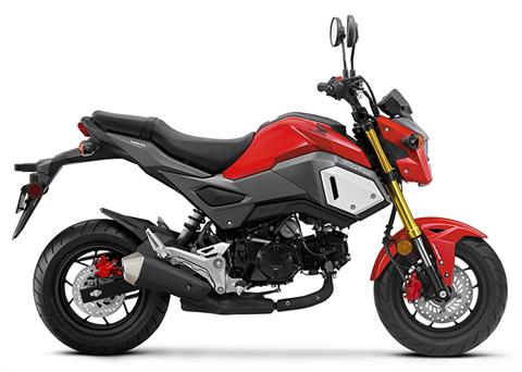 2019 Honda Grom ABS in Spencerport, New York
