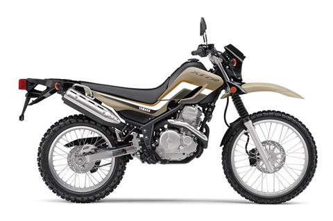 2019 Yamaha XT250 in Spencerport, New York